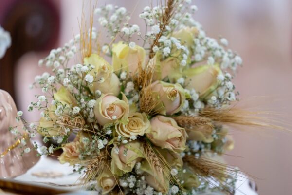 79979395_1022909838071760_1307619878647103488_n